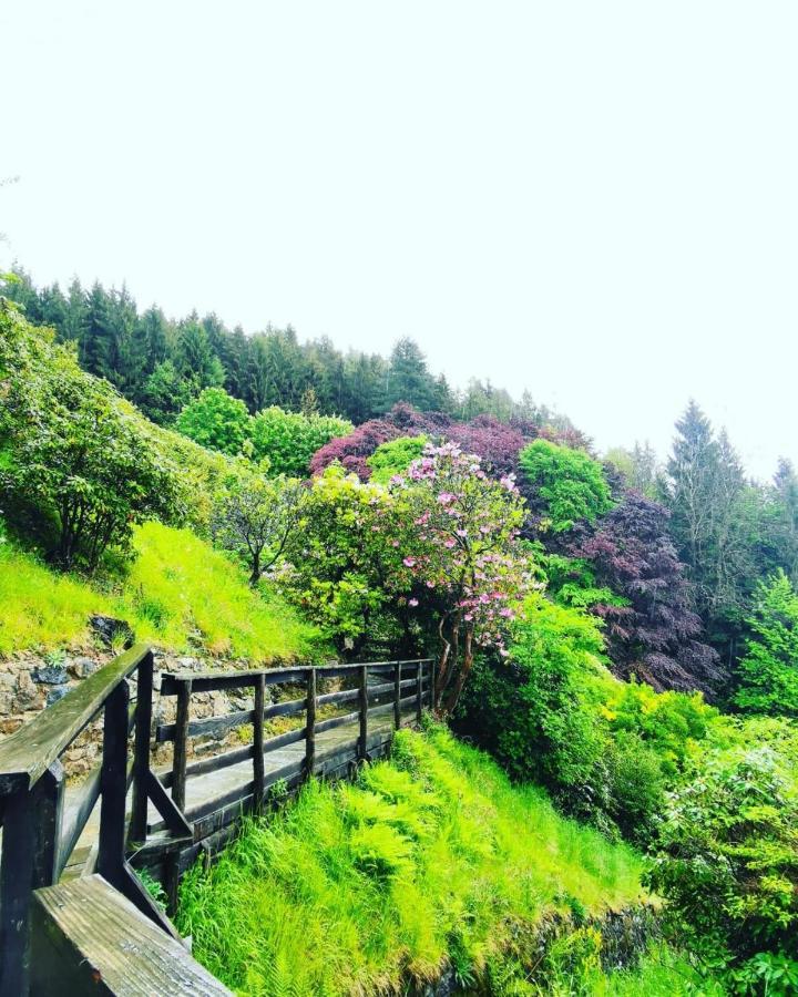 B&B Oasi Fiorita Trivero エクステリア 写真
